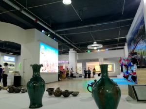 2017平塘旅发大会展示会 